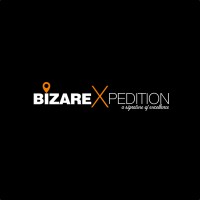 Bizarexpedition Services Pvt. Ltd. Logo
