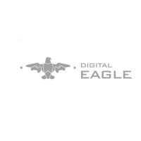 Jiangsu Digital Eagle Technology Co., Ltd Logo