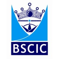 BSCIC Certifications Pvt. Ltd. Logo