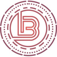 Blackmint Infocon Pvt. Ltd. Logo