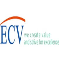 Shanghai ECV International Co., Ltd. Logo
