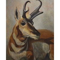 DStarbuck Gallery Logo