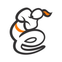 Egenie Next Solutions Logo