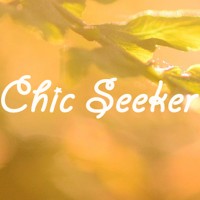 Yiwu Chic Seeker Accessories Co., Ltd. Logo