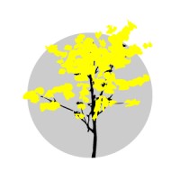 CAEd / UFJF Logo