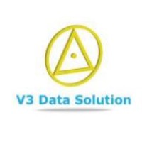 V3 Data Solution Logo