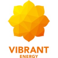 Vibrant Energy Holdings Private Limited Logo