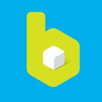 BlockInfo Logo