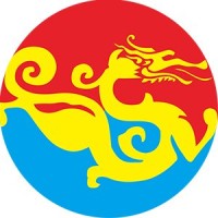 Vigor Dragon Logo