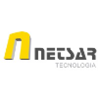 NetSAR Logo