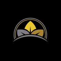 Silver Lining NS Consultancy Logo