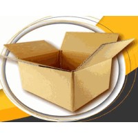 Express Pack Print Logo