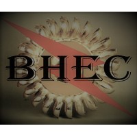 Bangalore Hydro Engineers & Consultants Logo