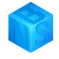 Northeast Business Solutions Logo
