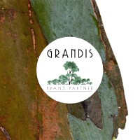 Grandis Logo