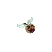 Flying Bullet Pictures Logo