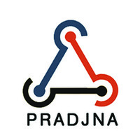 Pradjna Intellisys Pvt. Ltd. Logo