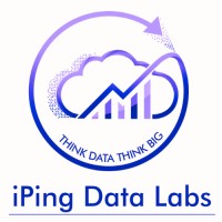 iPing Data Labs Logo