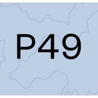 Project Forty Nine Logo