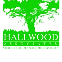Hallwood Associates Logo