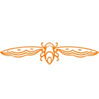 Cicada Pte Ltd Logo