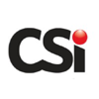 CSI Networks Logo
