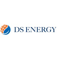 DS ENERGY Logo