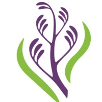 Helensville District Health Trust Logo