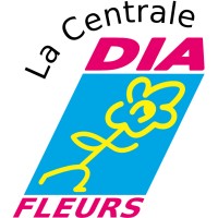 La Centrale Dia Fleurs Logo
