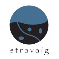 Stravaig Consulting Logo
