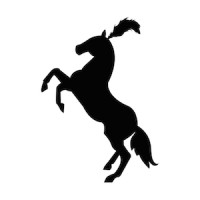 Show Pony Social Logo