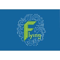 Shenzhen Flying Technology Co., Ltd Logo