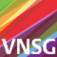 VNSG Logo