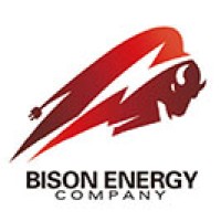 BISON ENERGY GROUP Logo