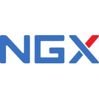 NGX Technologies Pvt Ltd Logo