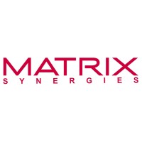 Matrix Synergies Private Limited Logo