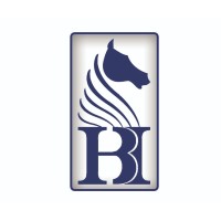 BLUE HORSE AUTO Logo