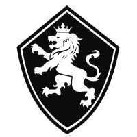 Raion Consultoria Logo