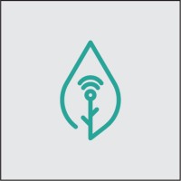 Gravity Star Logo