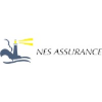 NES Assurance Logo