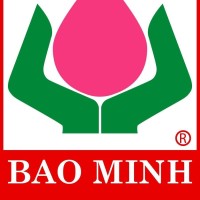 Bao Minh Insurance Company Logo