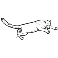 25th.co Logo