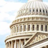 Flinders University Washington Internship Program Logo