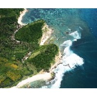 Turtle Reef Nature Sanctuary Logo