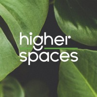 Higher Spaces Logo