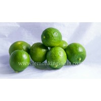 LemonKing Logo
