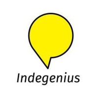 Indegenius Creative Solutions Logo