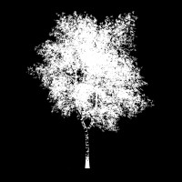 Prosperitree Consulting Logo