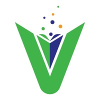 WebVidya Logo