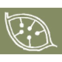Moran and Partners Logo